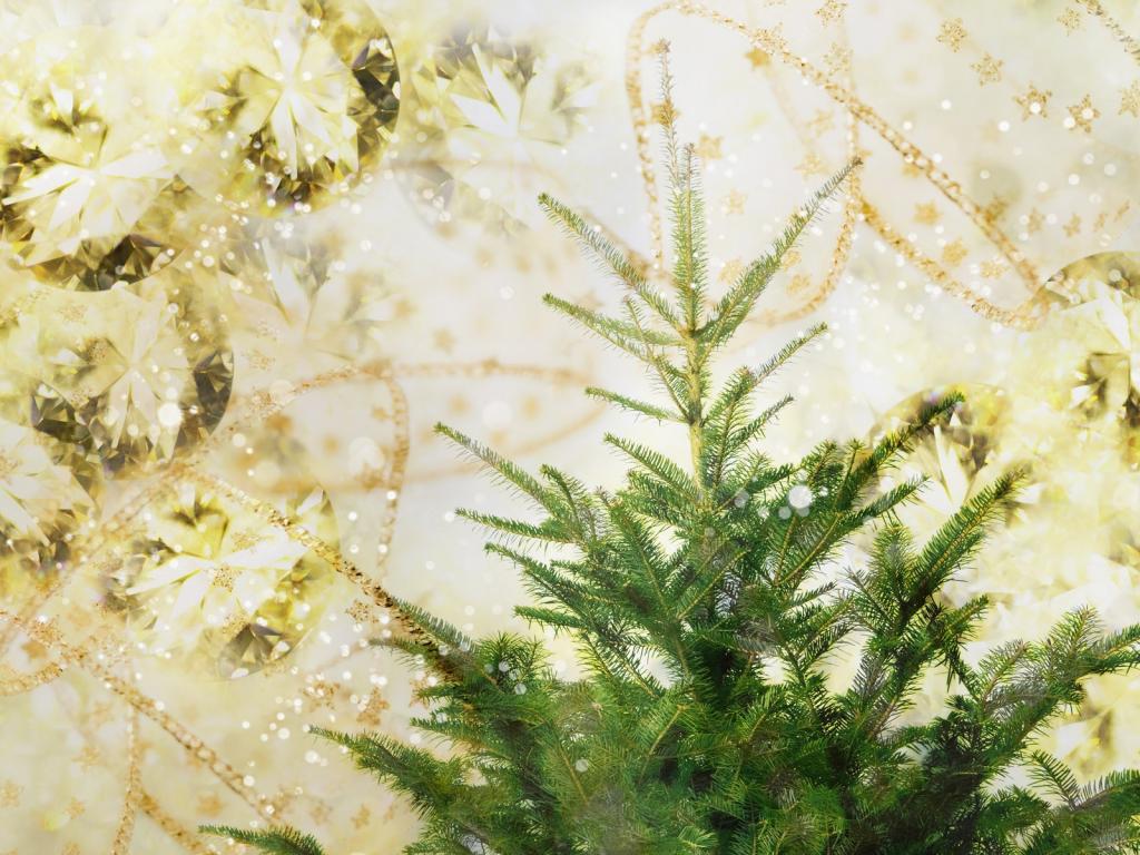 唯美的炫彩合成