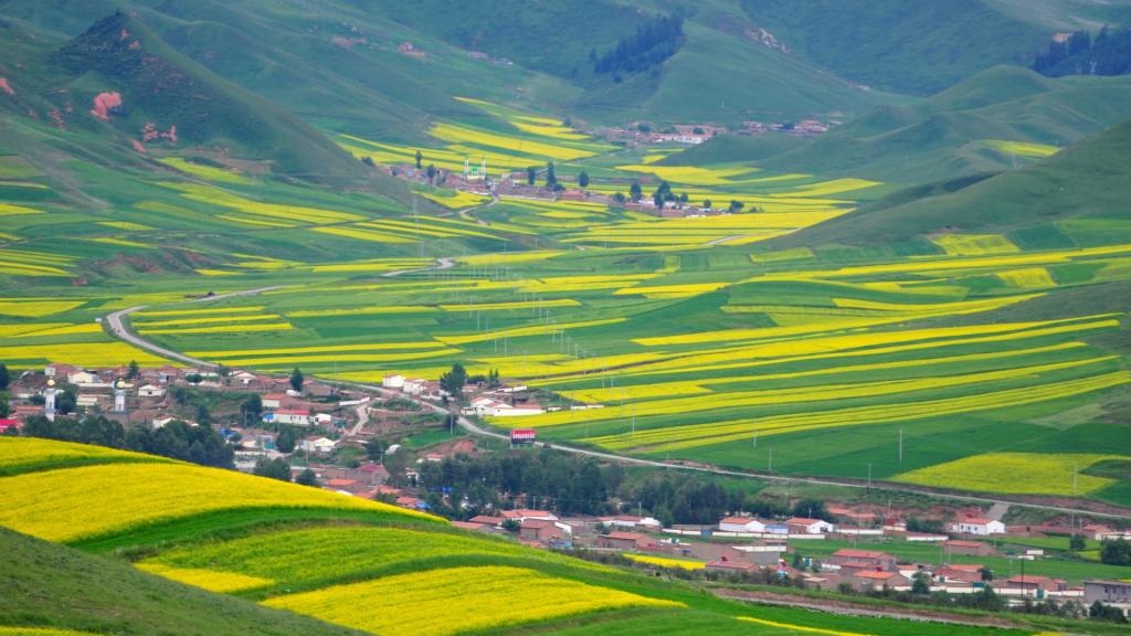 青海卓尔山风景