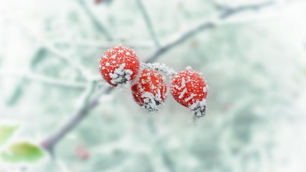 霜花形成的原因