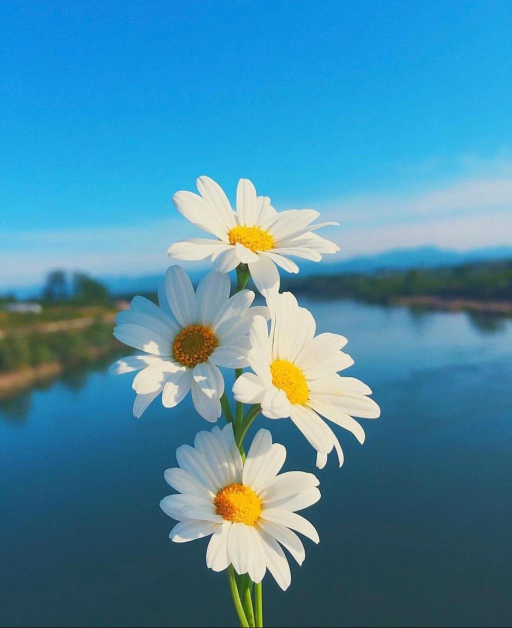 五月的人间烟火气