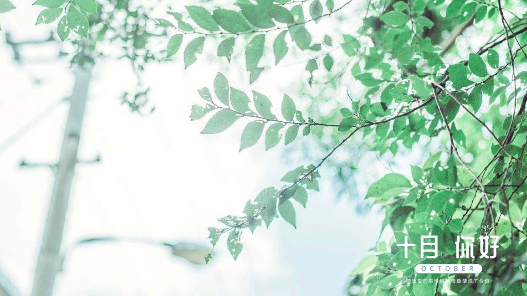 十月你好清新护眼绿植