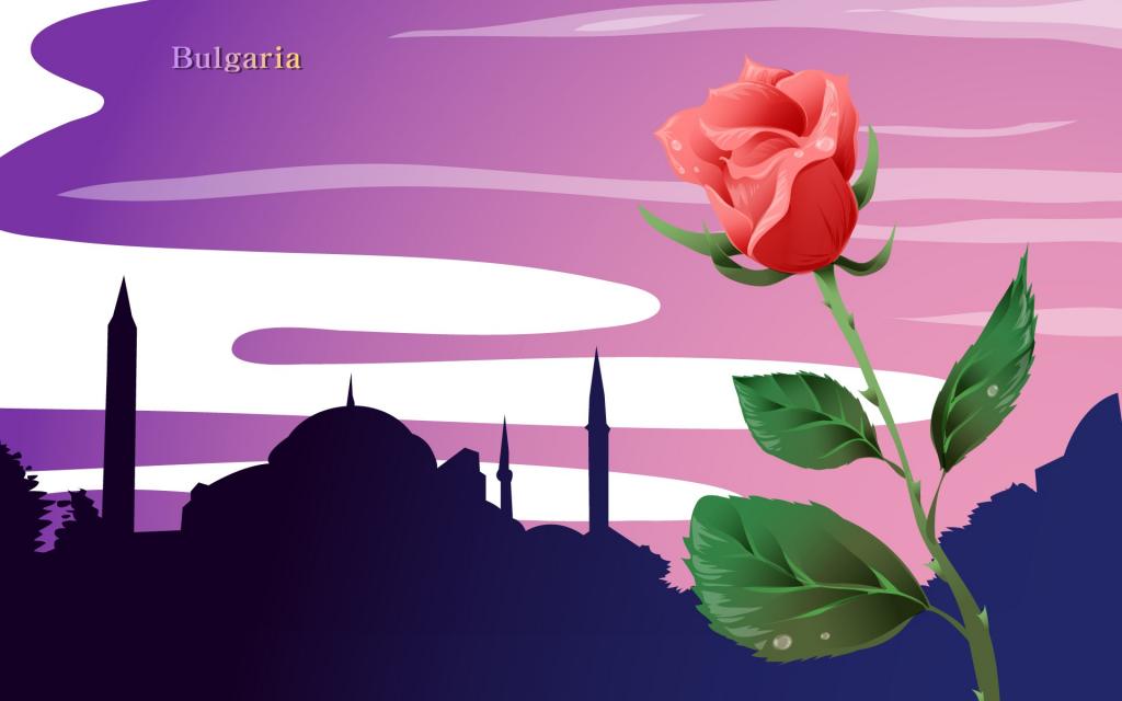 国家风景与鲜花