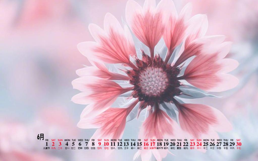 2018年6月小清新唯美花卉日历