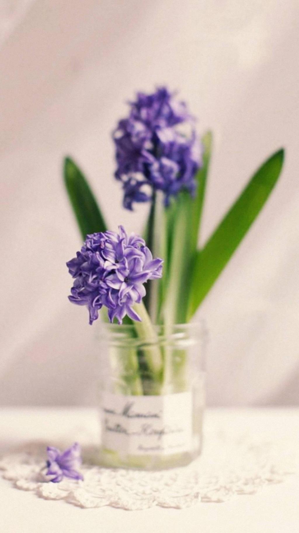 唯美花一束,高清图片,手机锁屏桌面-壁纸族