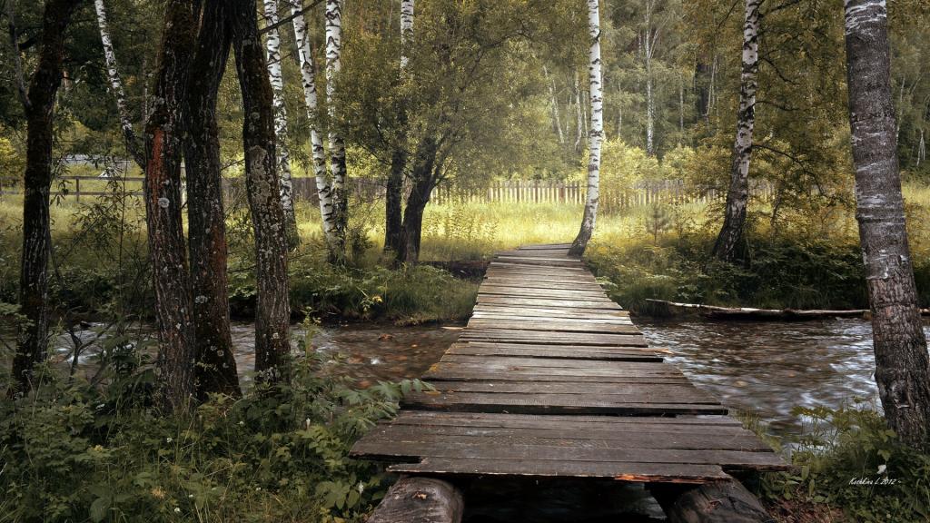 一个人的小桥流水