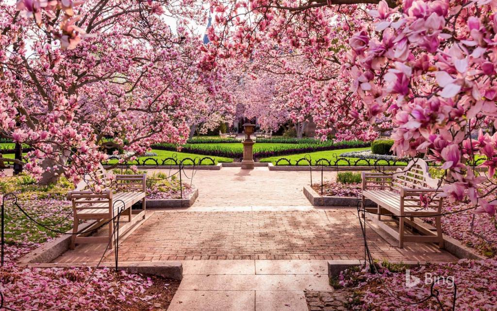 2018年 Bing官方主题风景