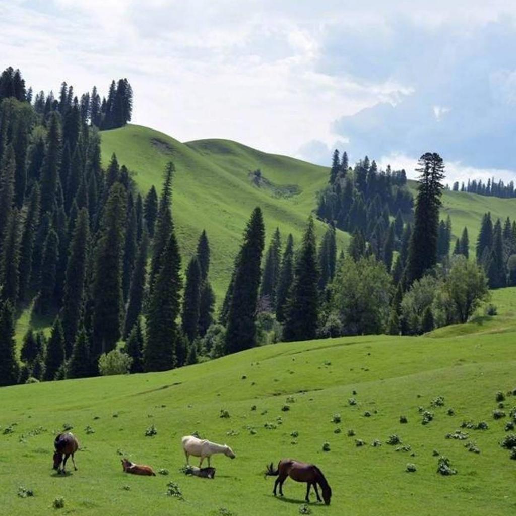 清新迷人的大自然风光