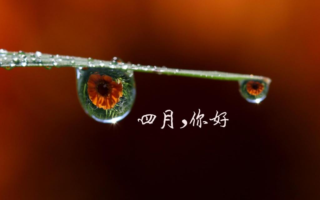 四月你好一句话说说配图