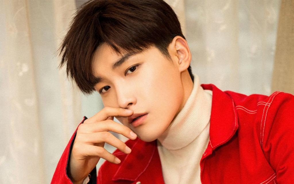 邢昭林儒雅帅气写真