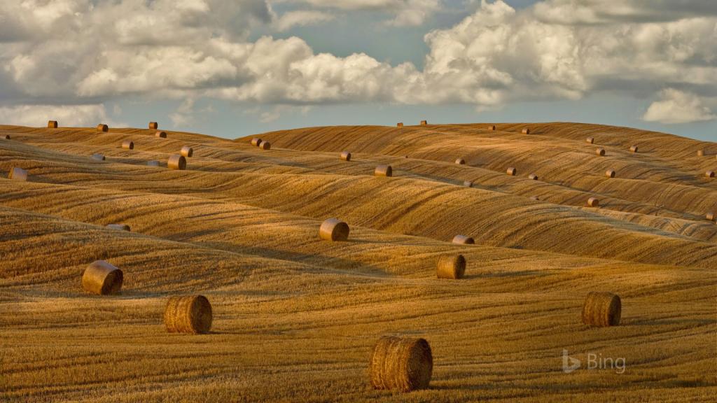 2018年Bing官方主题风景