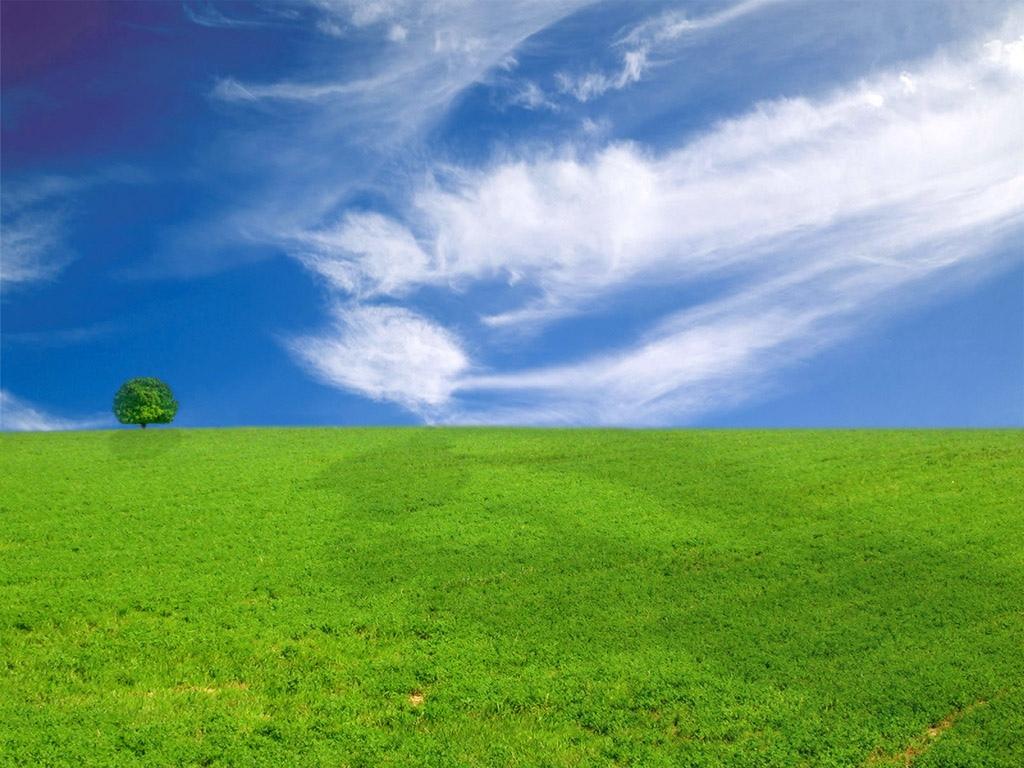 田园里乌云密布