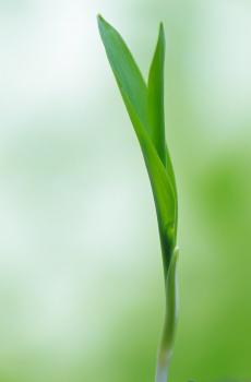 唯美清爽护眼-1