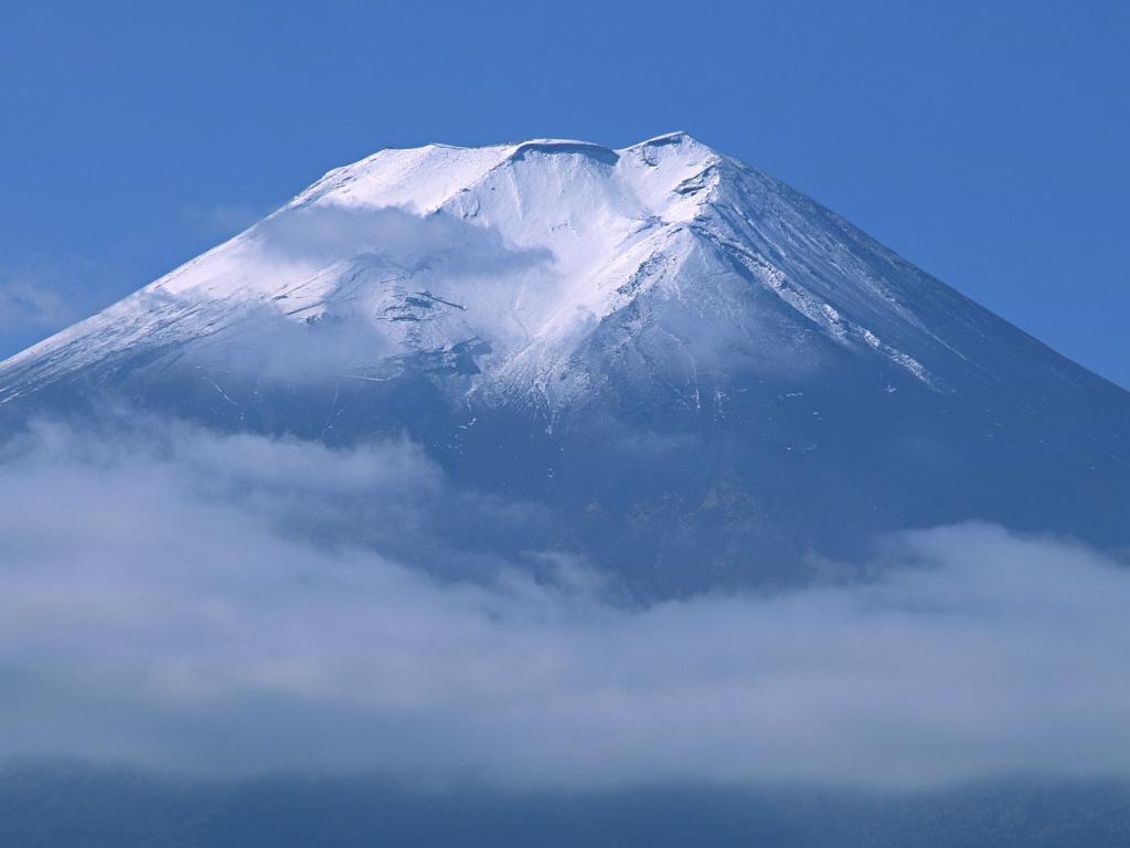 富士山花海