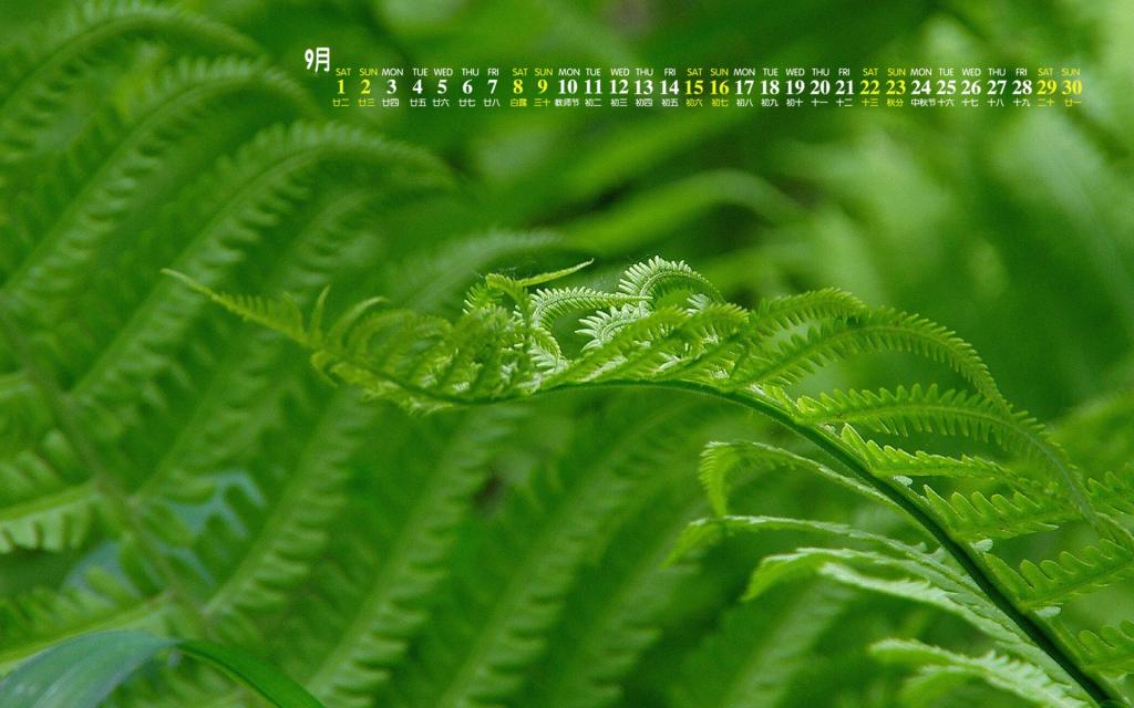 2018年9月绿色小清新植物写真日历