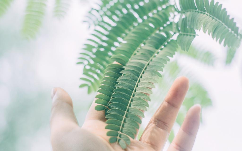 小清新蓝色风景