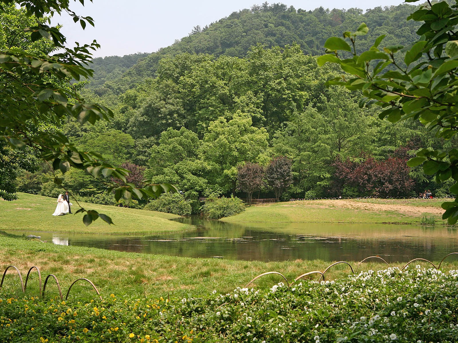 太子湾公园风光