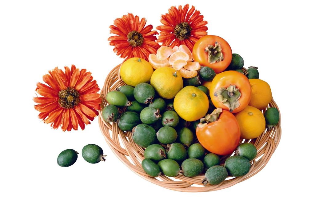 各种水果蔬菜花卉