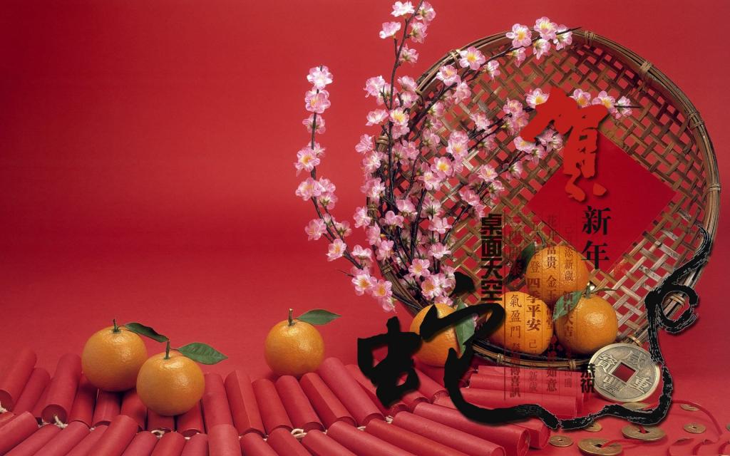 2013蛇年春节节日