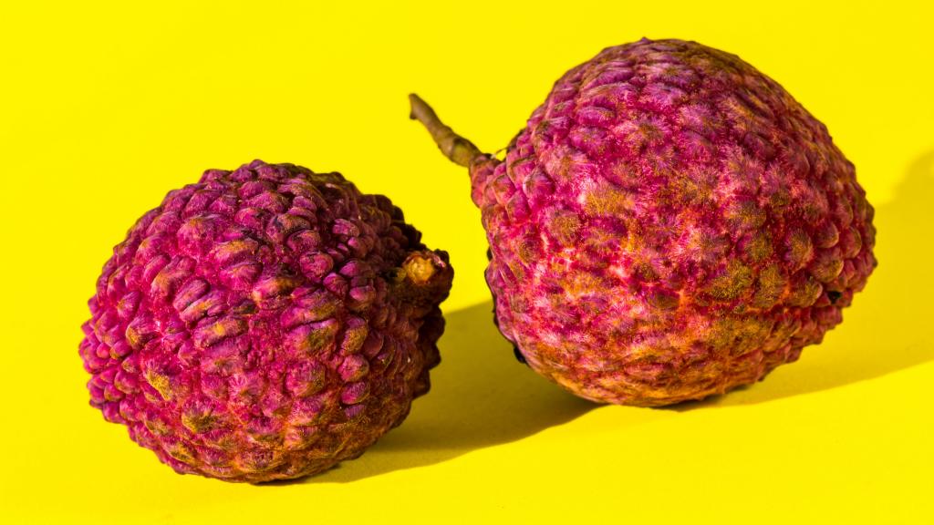 又到荔枝成熟时