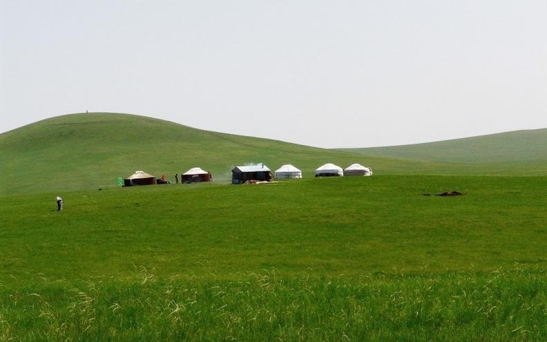 大自然中清新绿色草原风景集