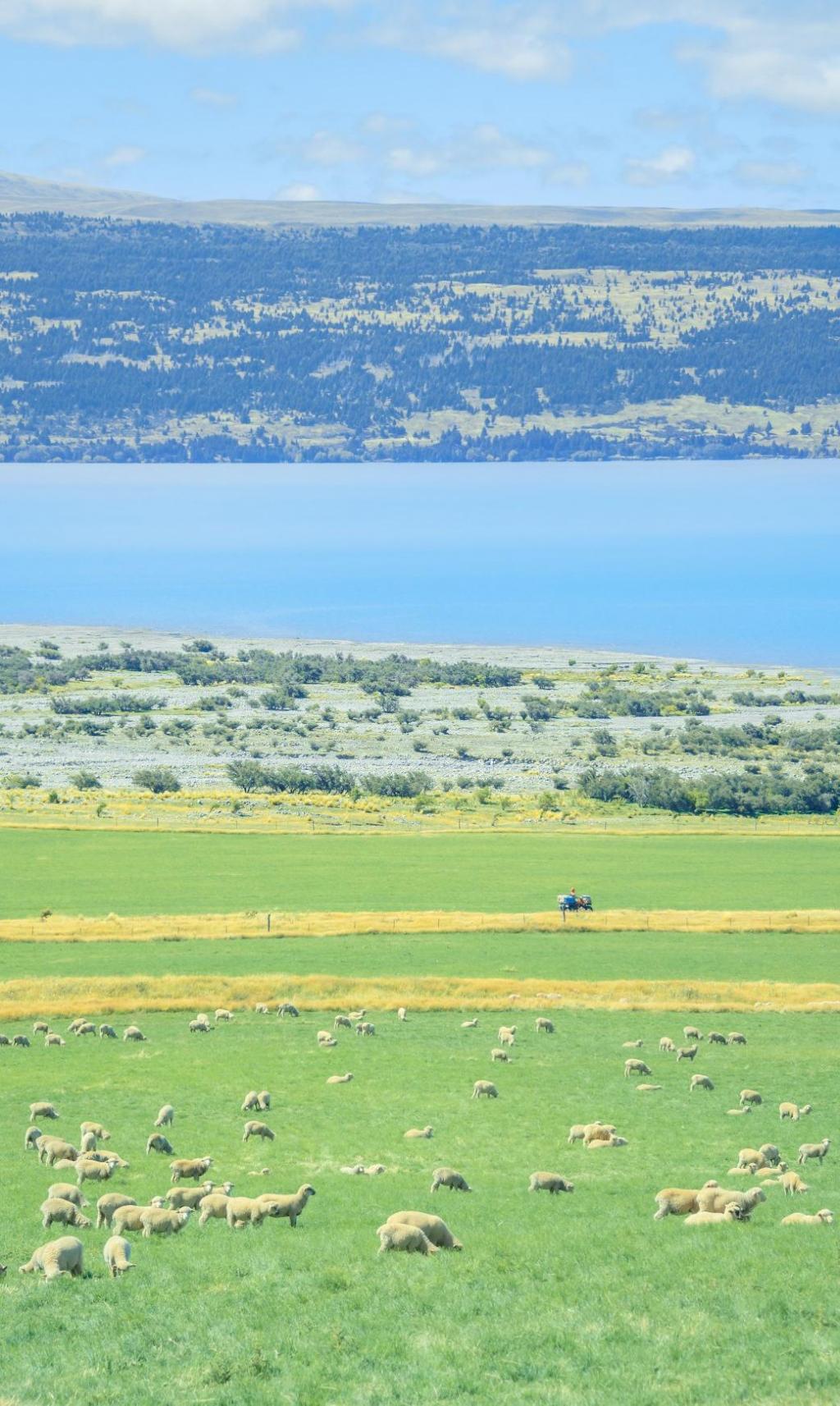 清新迷人的大自然风光