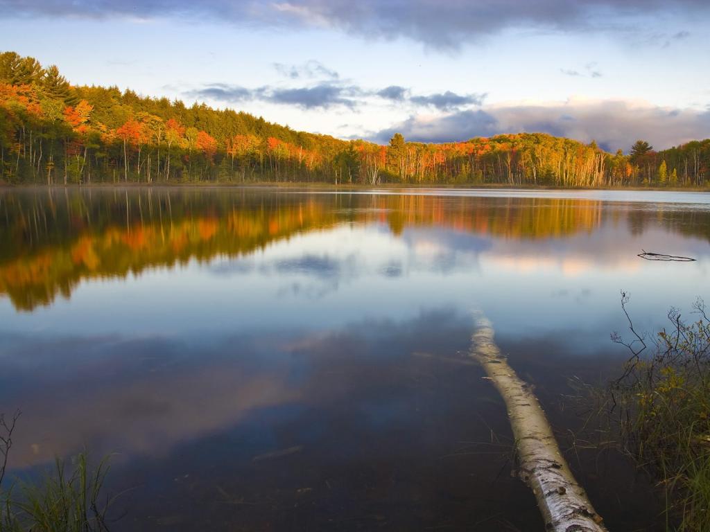 纵观世界风云，风景这边更好