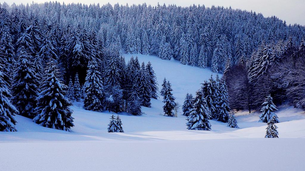 冰天雪地的童话世界
