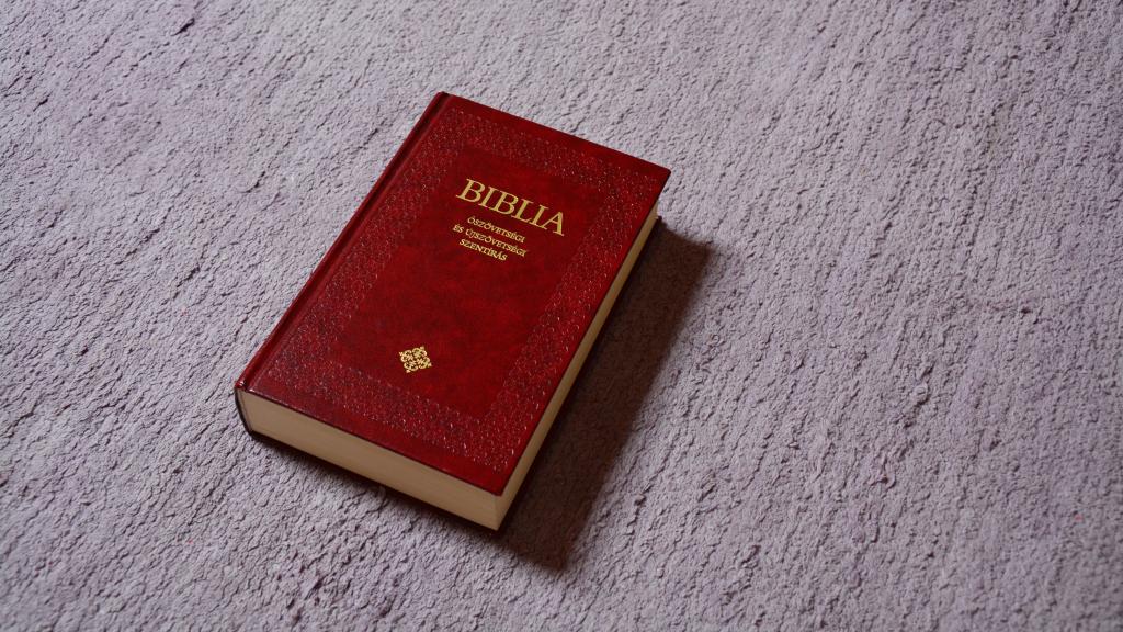 文艺的书籍写真