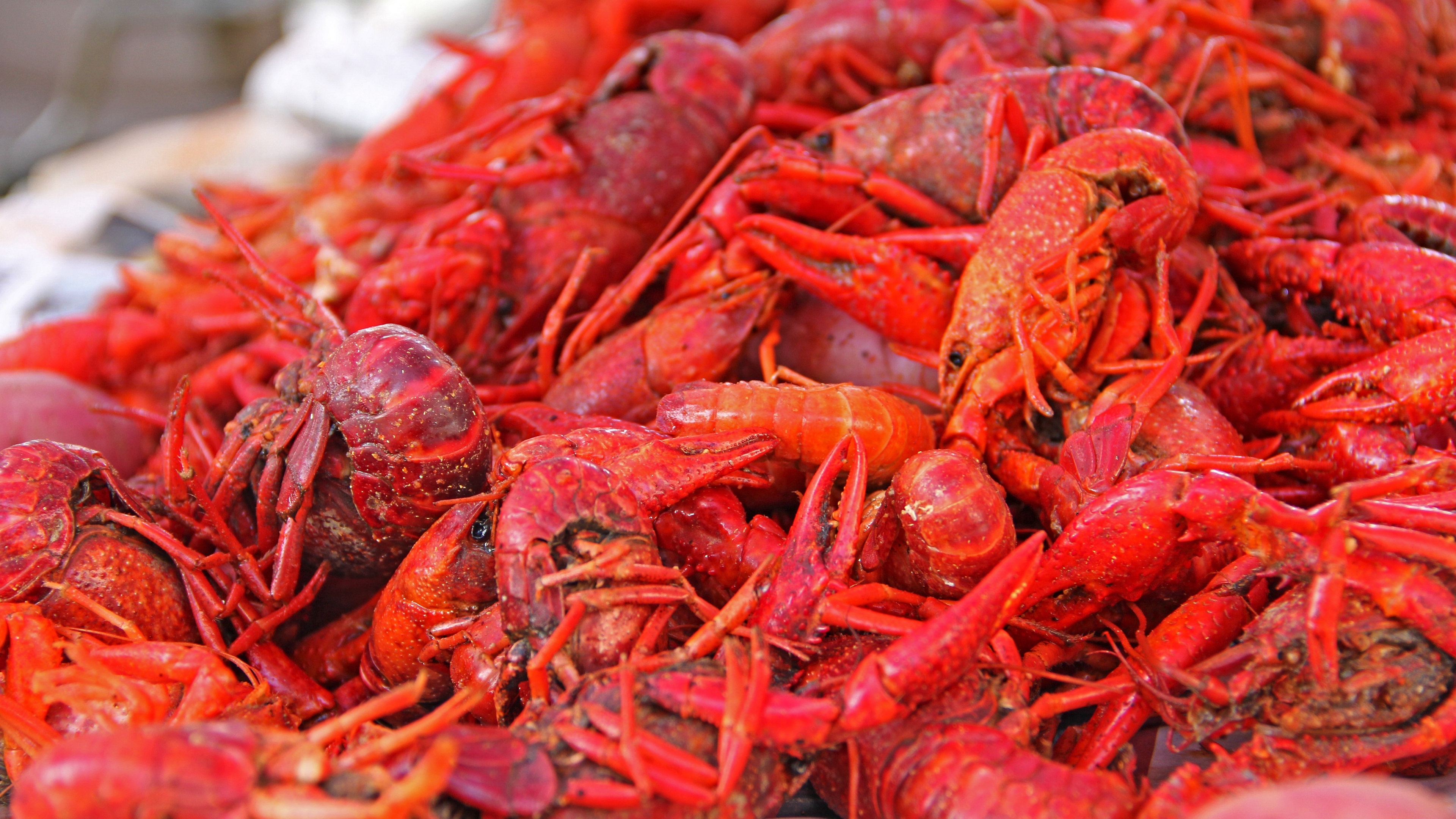 麻辣小龙虾图片