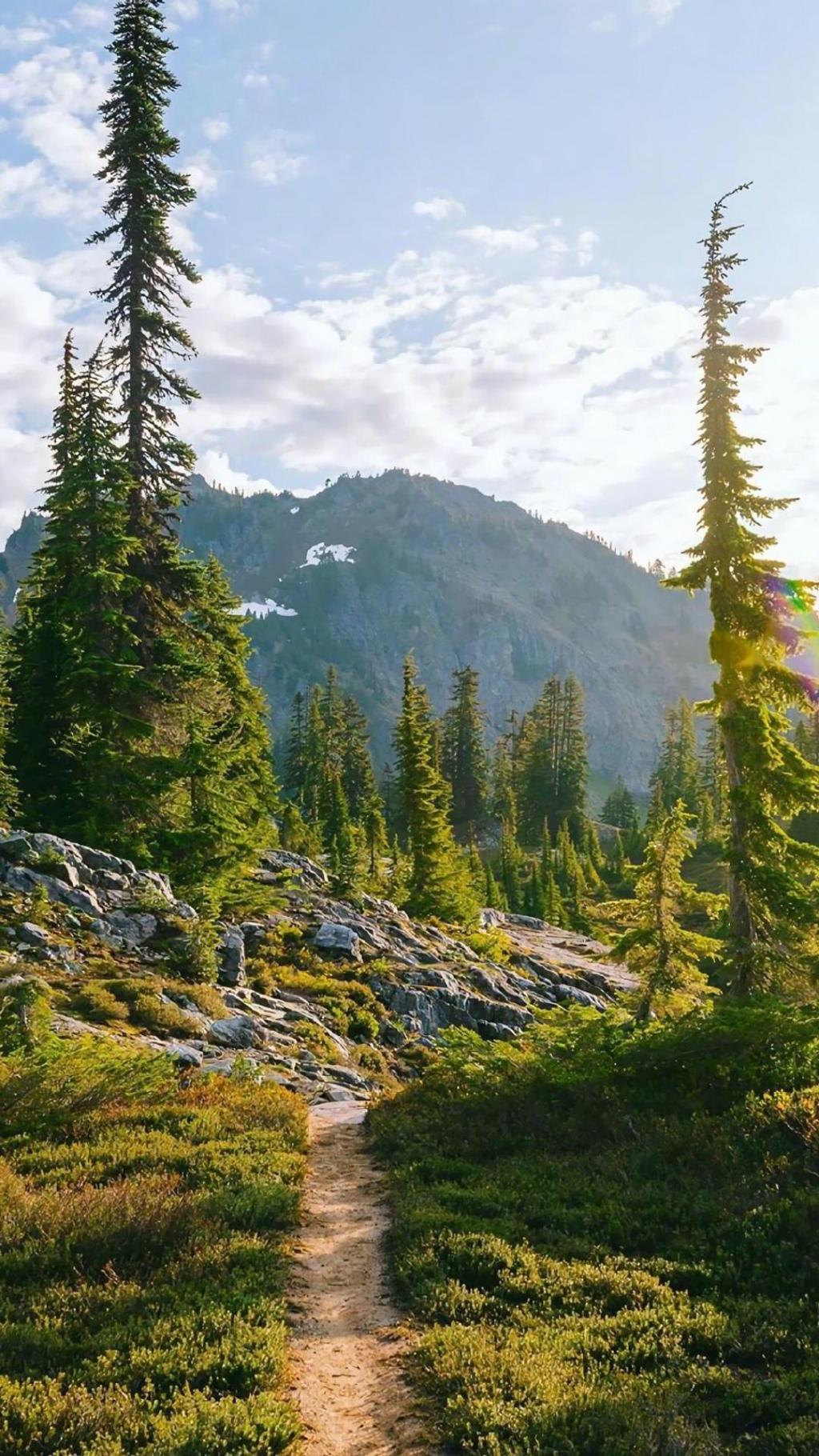 唯美小清新元气自然风光