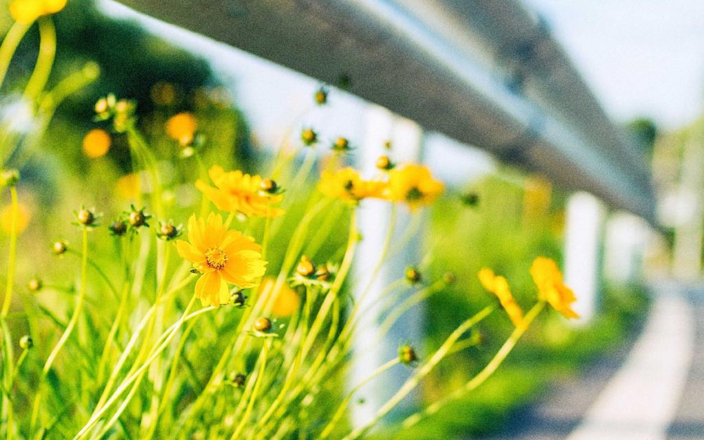 夏日物语小清新写真