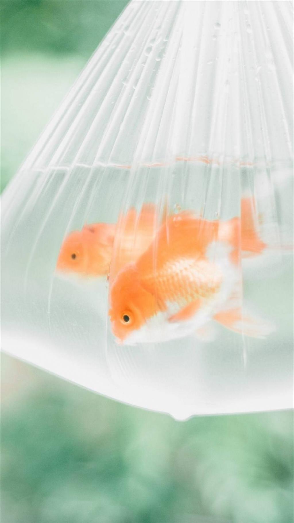 日系清新文艺图片