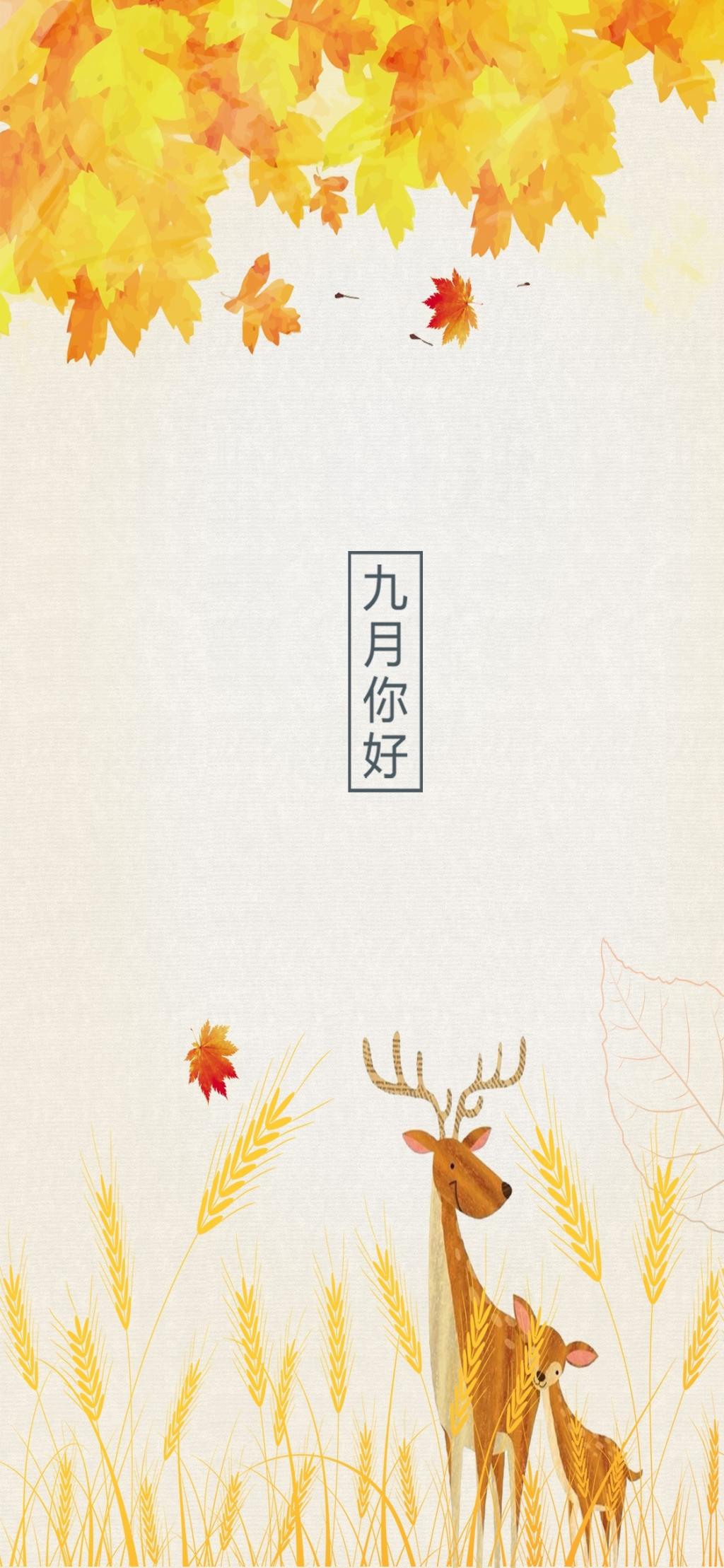 凉爽惬意的九月，你好吗