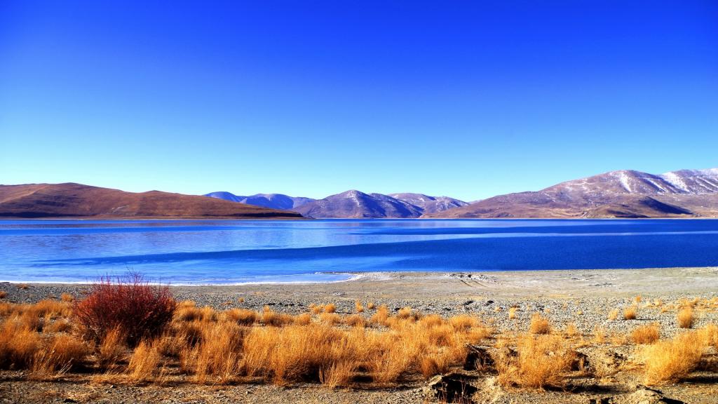 西藏羊卓雍措之碧蓝色湖泊