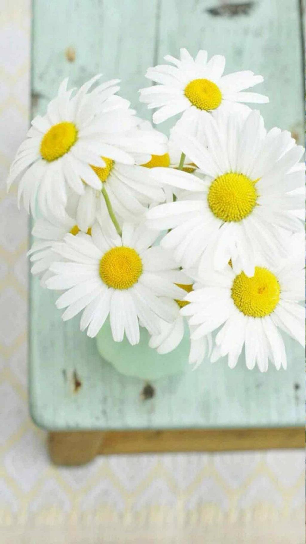 清新淡雅植物花卉图片