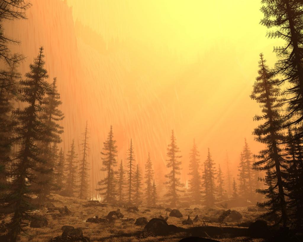 松林黄昏设计图