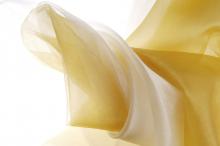 布纹蕾丝静物写真