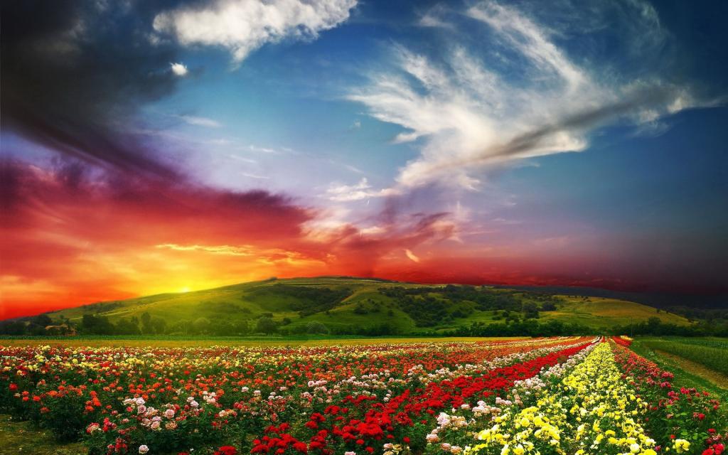 精选win7唯美自然风光风景