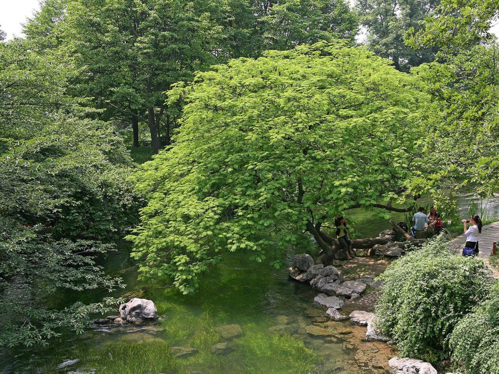 太子湾公园风光