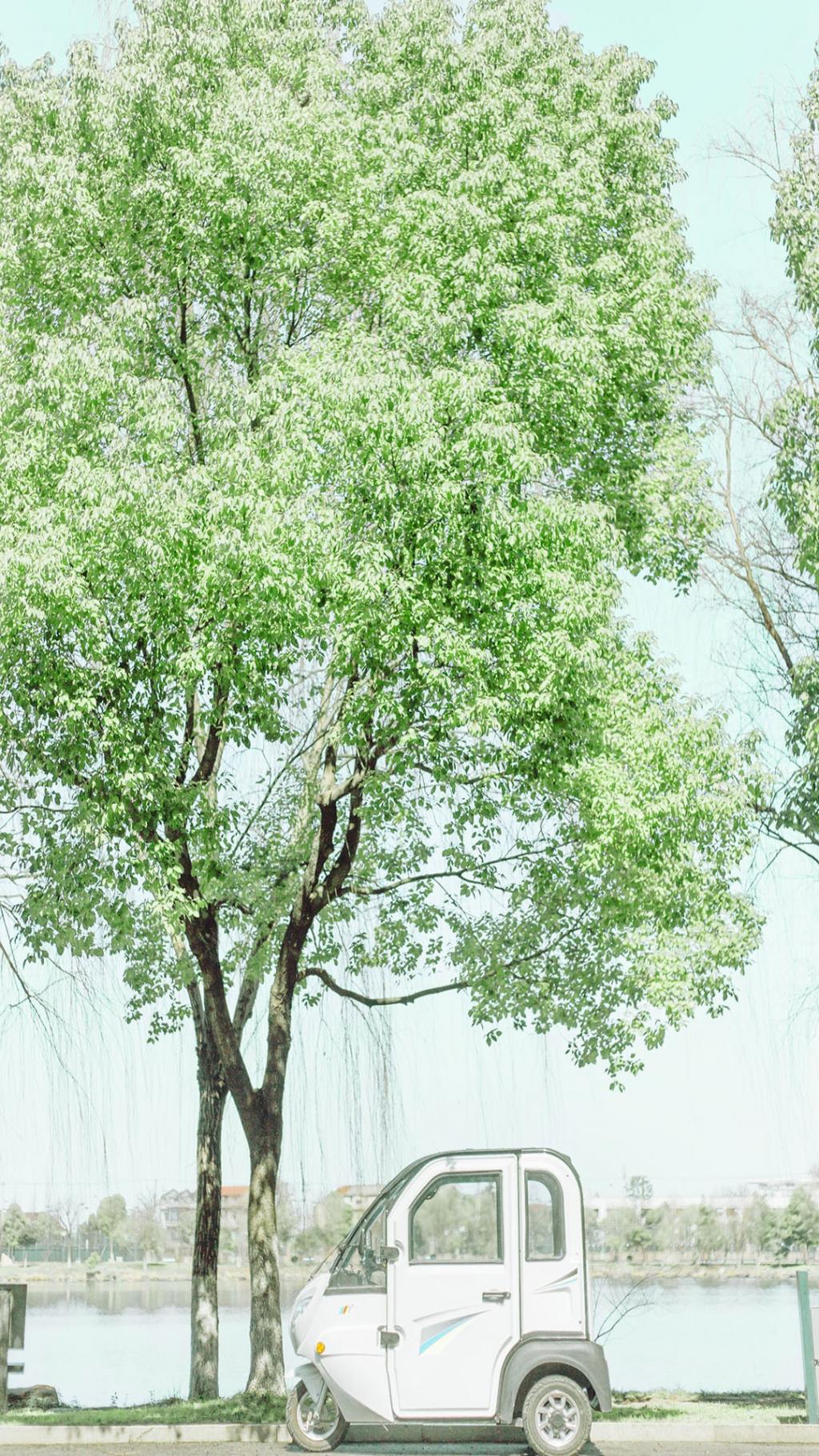 蓝天白云下的美景