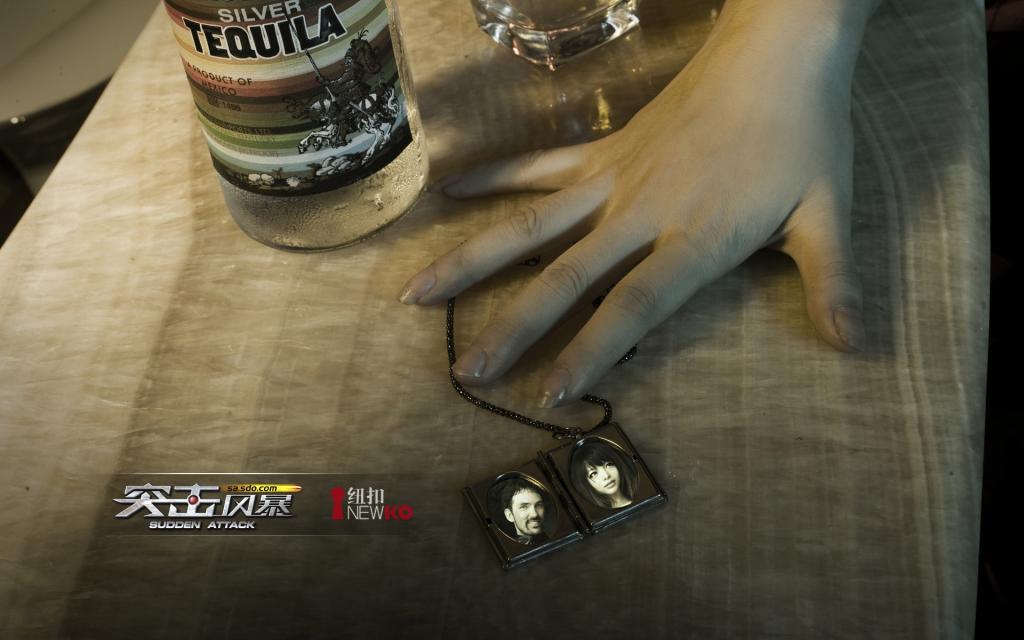 突击风暴(病毒危机)