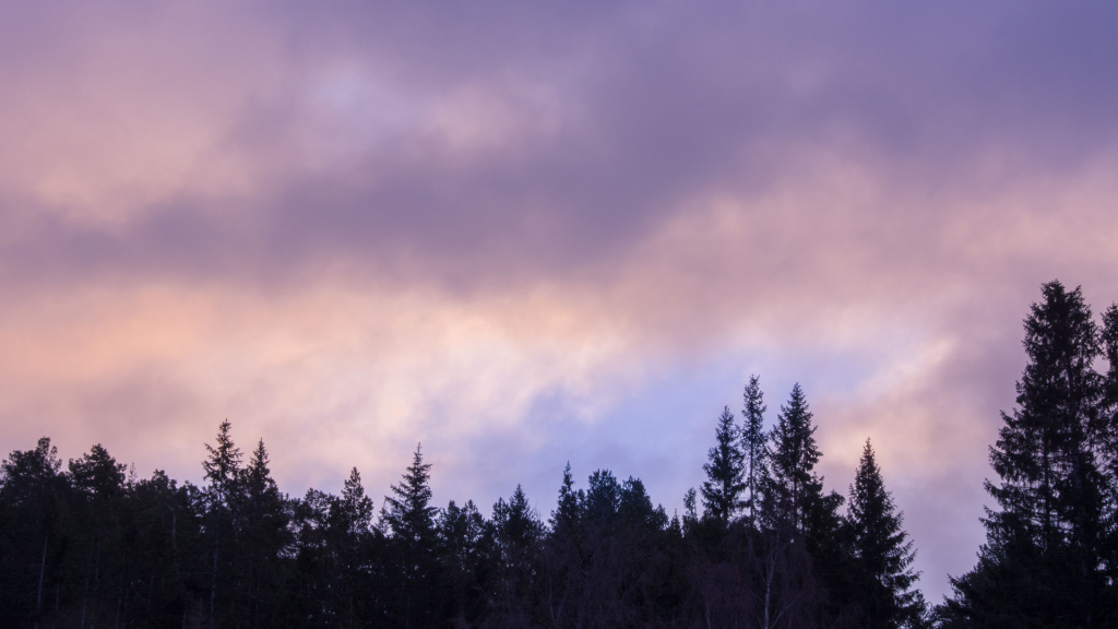 唯美日暮风景摄影