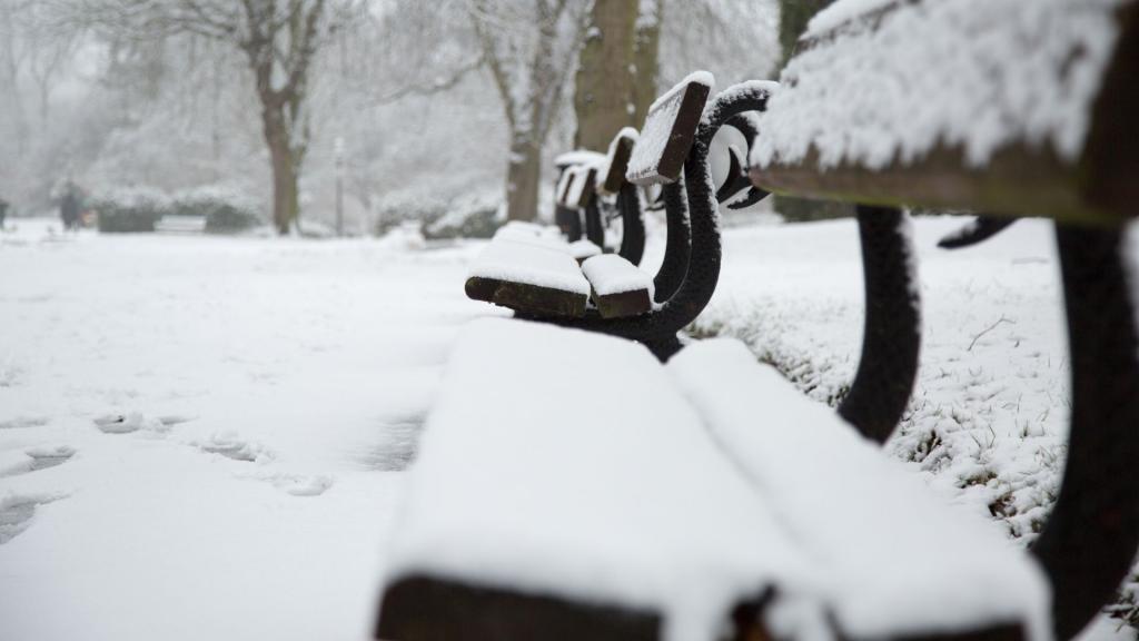 冬季雪地公园的长椅