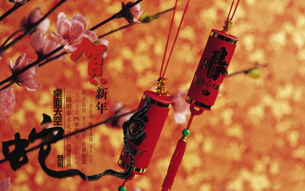 2013蛇年春节节日