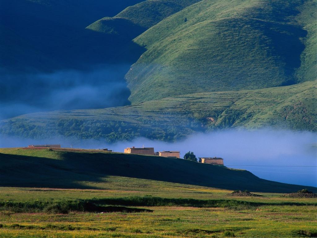 雾蒙蒙山崖
