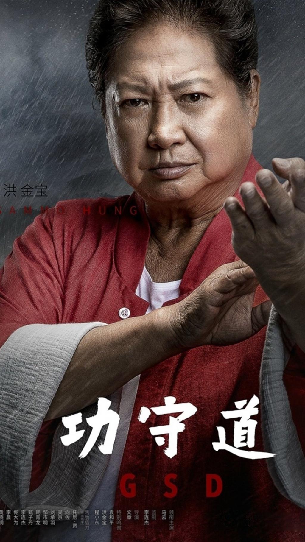 功夫电影《功守道》宣传图片