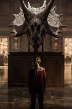 侏罗纪世界2:失落王国(2018)-5