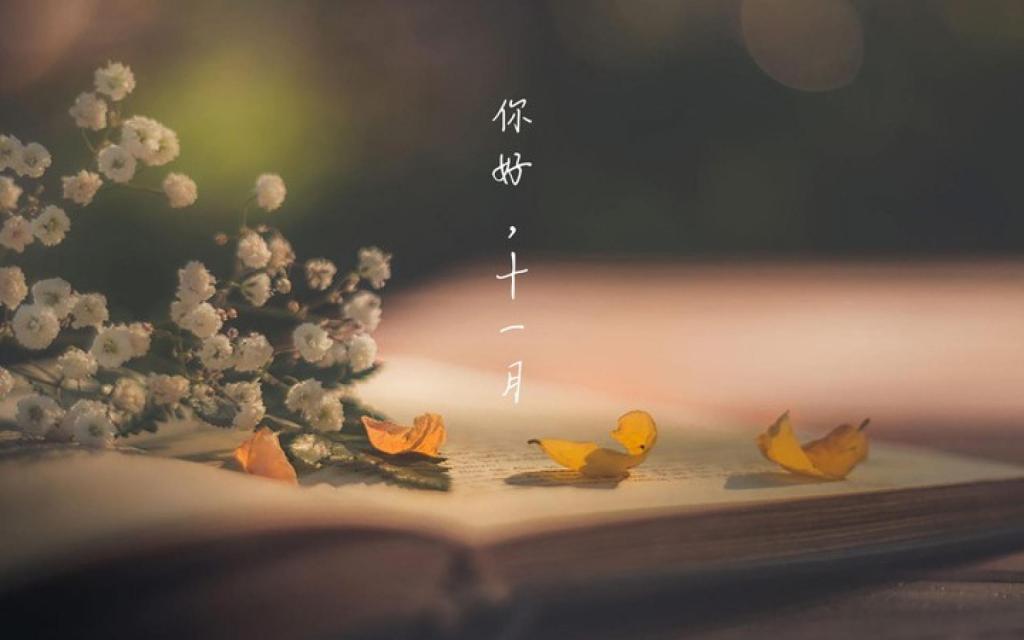 你好,美丽的十一月,高清图片,电脑桌面-壁纸族