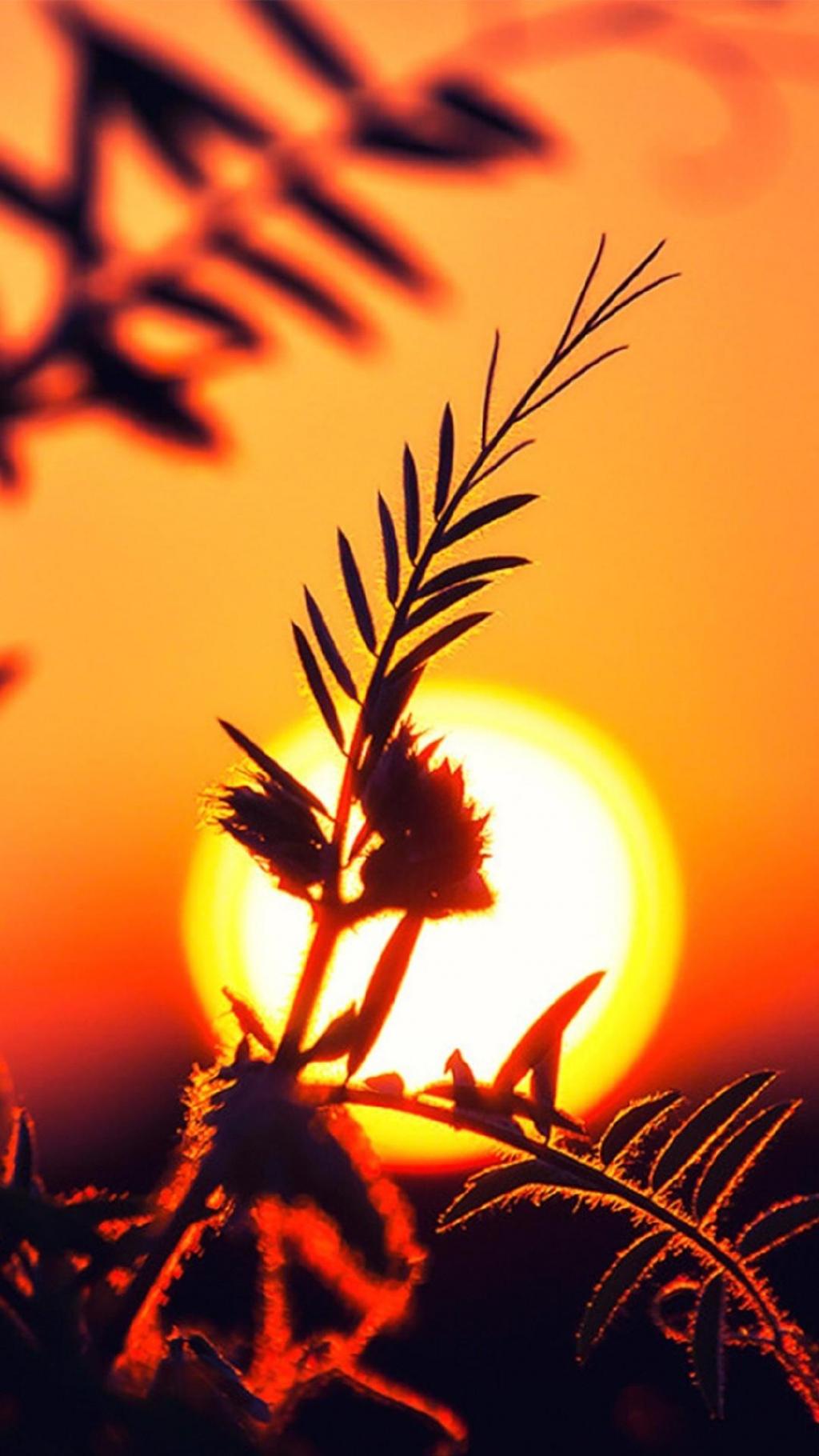 落日余晖唯美风光