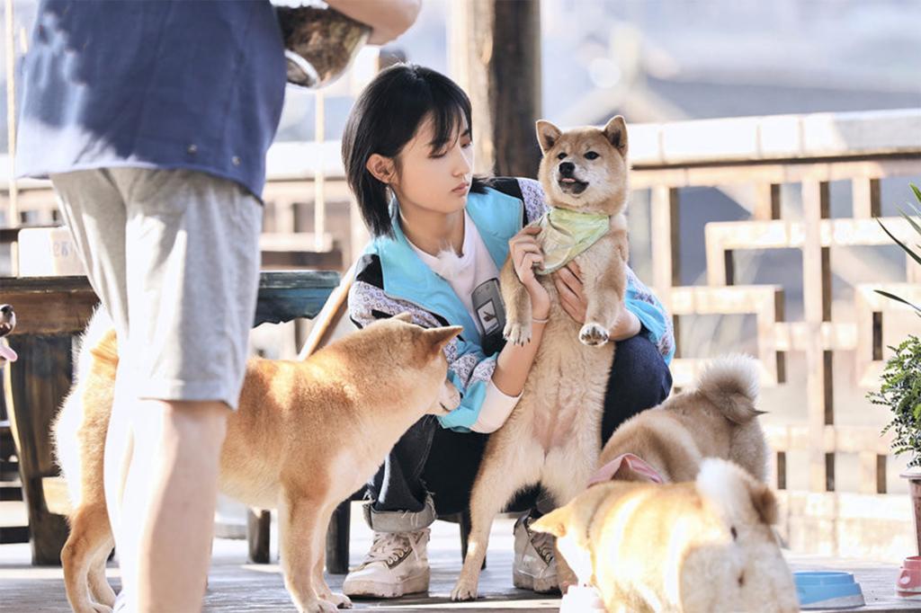 综艺《向往的生活3》